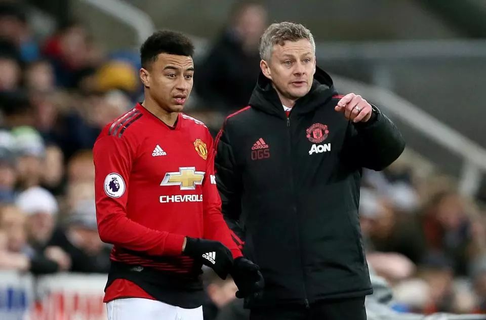 注了很多心 注了很多心