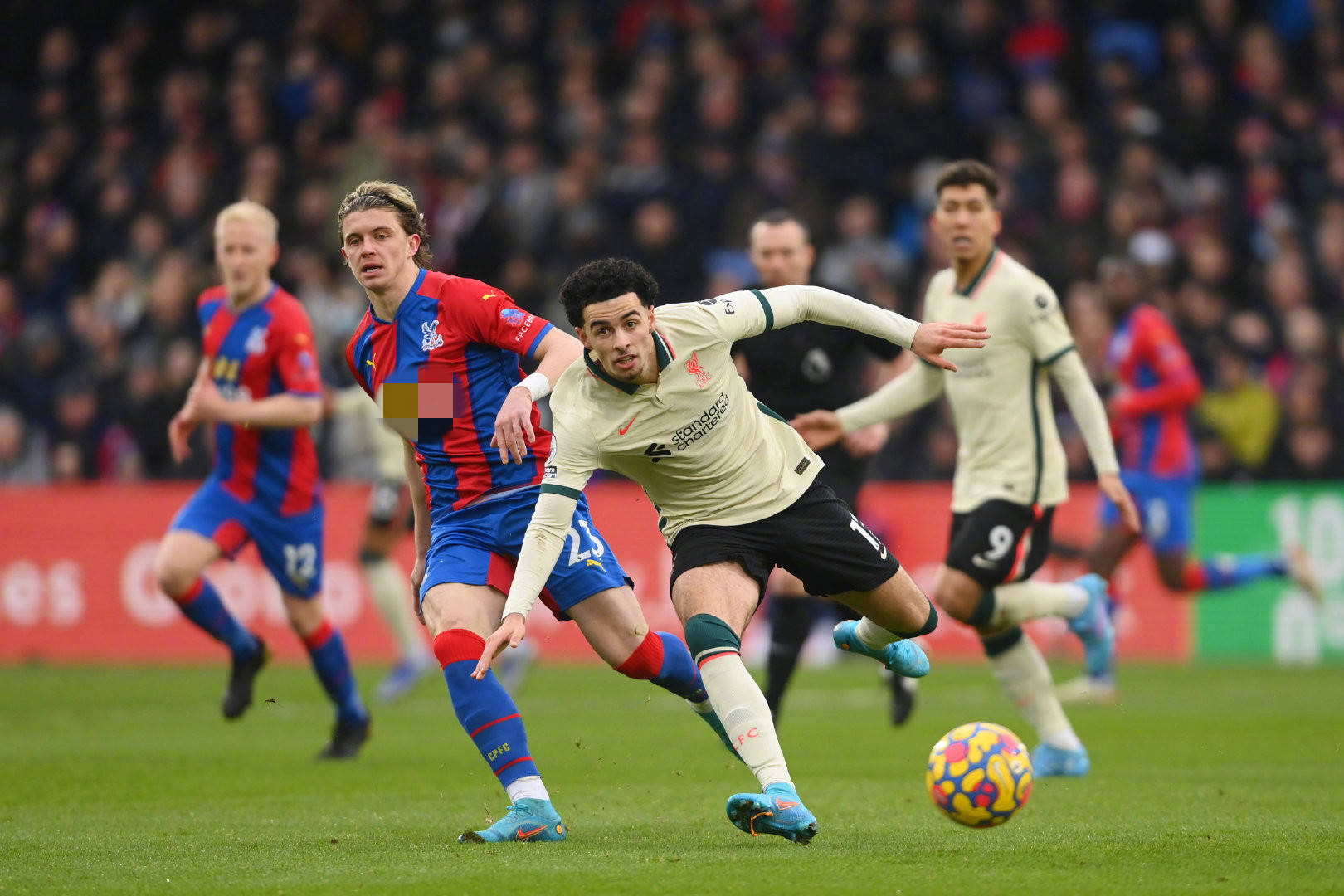 生便提到 生便提到